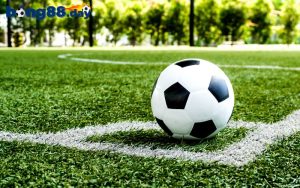 Lý do nên tham gia cá cược bóng cỏ là gì?