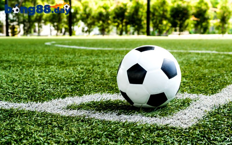 Lý do nên tham gia cá cược bóng cỏ là gì?