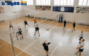 Tổng hợp những kèo cược bóng chuyền nổi bật
