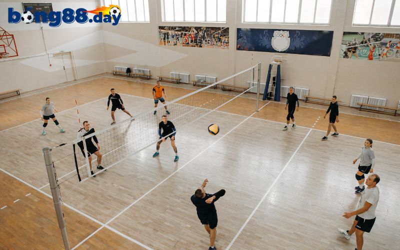 Tổng hợp những kèo cược bóng chuyền nổi bật