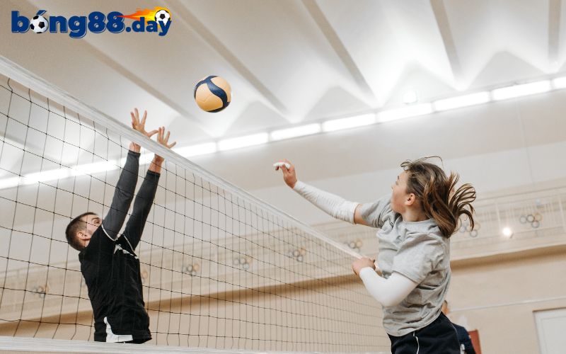Khám phá những mẹo cá cược bóng chuyền