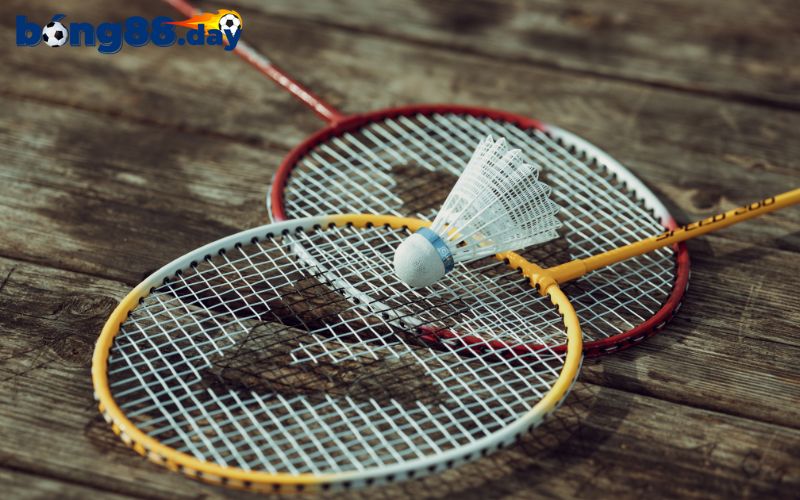 Luật chơi cá cược cầu lông tại BONG88