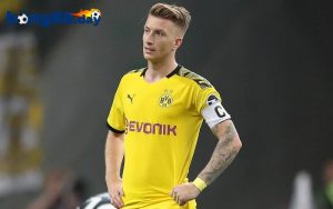 Danh hiệu cá nhân và thành tích của Reus