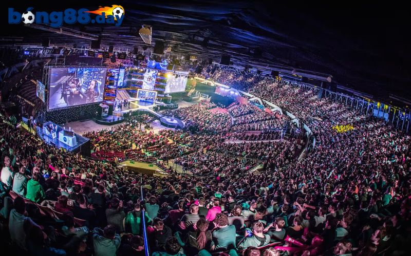 Hướng dẫn tham gia nhiều khuyến mãi tại TF-Esport