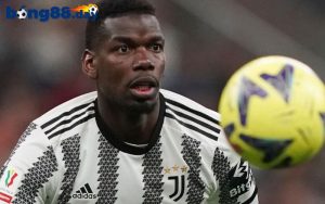Pogba và sự nghiệp thi đấu CLB chuyên nghiệp