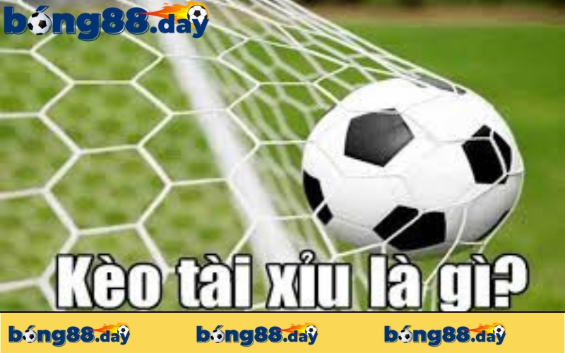 Sơ lược về kèo tài xỉu là gì?