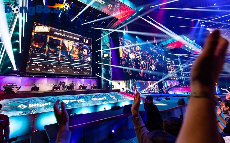 TF-Esport là gì?